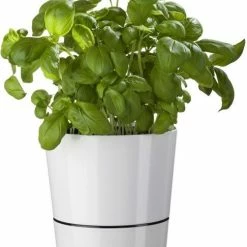 Mepal Hydro Kräutertopf Groß - Weiß -la rochere shop 212 108615030600 a