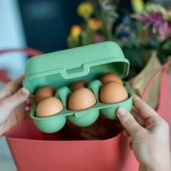 Koziol Eierbox In Grün Für 10 Eier -la rochere shop 7186 EGGS TO GO MINI shop 14 1