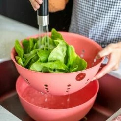 Koziol Seiher PALSBY In Coral 2 L -la rochere shop 7808 7807 PALSBY L 704 8 2