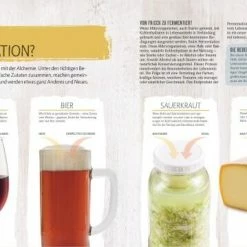 DK Verlag Adam Elabd: Fermentieren -la rochere shop 9783831041787 2