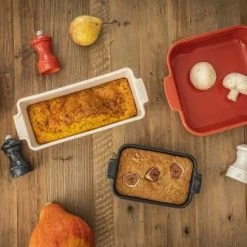 Appolia Auflaufform Quadratisch In Schiefergrau 28 Cm / 2,7 Liter -la rochere shop APPOLIA BISTRORAMA automne 61128 61111 60503 60107 40864 40819 40840 PEUGEOT SAVEURS 2