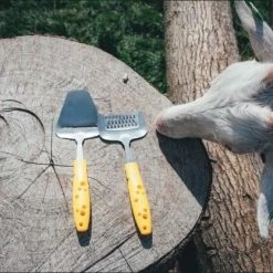 Boska Käsehobel Mini Cheesy 7 Boska Käsehobel Mini Cheesy -la rochere shop Web 357692 357690 357696 cheesy photoshoot 2400x 1