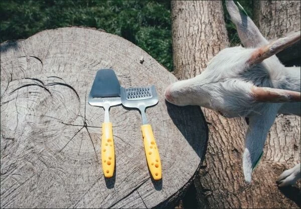 Boska Käsehobel Mini Cheesy 3 Boska Käsehobel Mini Cheesy – Bild 3