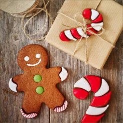 Birkmann Ausstechform Lebkuchenfrau -la rochere shop gingerman 12 cm ambiente 1