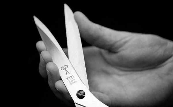 Scherenmanufaktur Paul Küchenschere Lang 3 Scherenmanufaktur Paul Küchenschere Lang – Bild 3